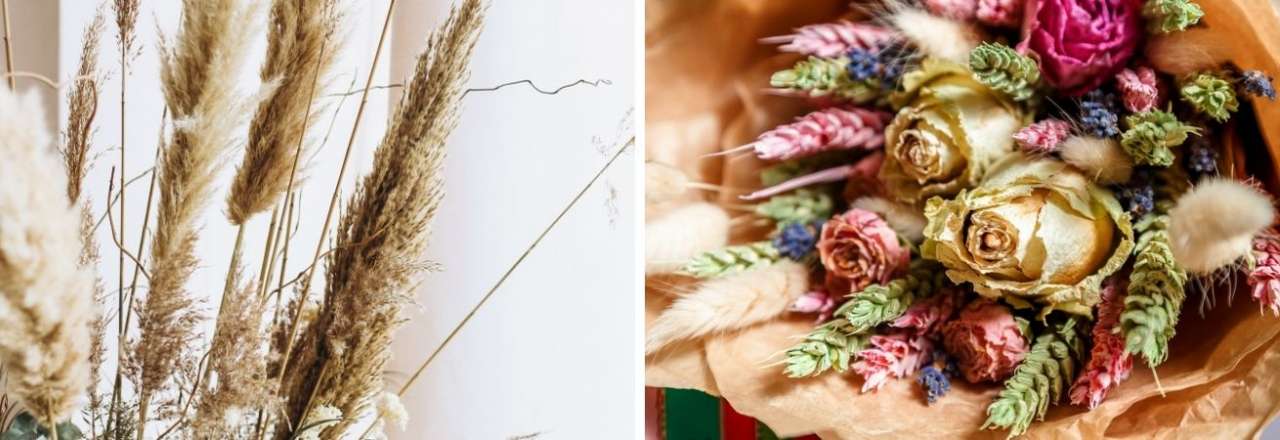 TuinWereld Dordrecht | Droogbloemen | Droogboeket