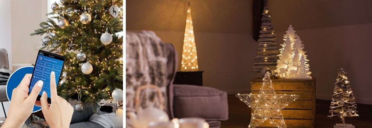 TuinWereld Dordrecht | Kerstverlichting