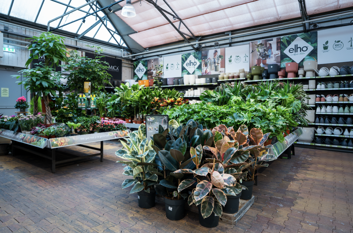 TuinWereld Dordrecht | Groene kamerplanten TuinWereld Dordrecht | Groene kamerplanten