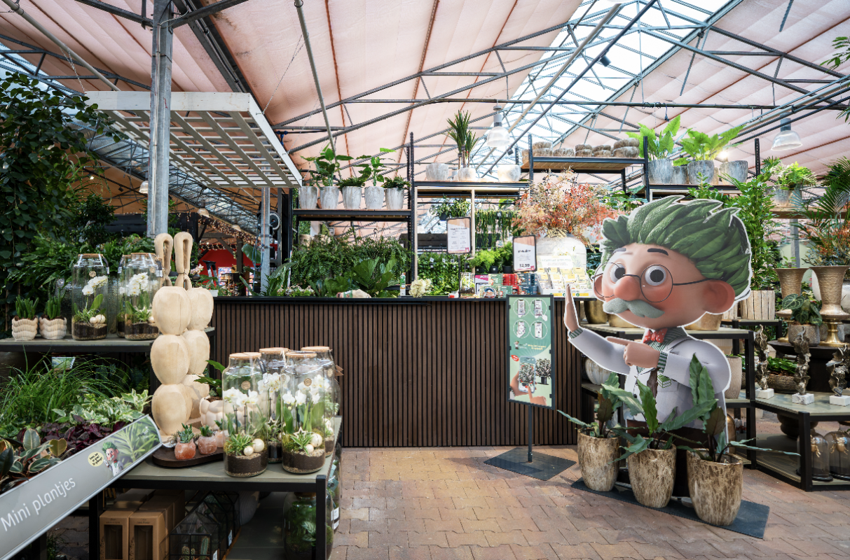 Kamerplanten TuinWereld Dordrecht Kamerplanten TuinWereld Dordrecht