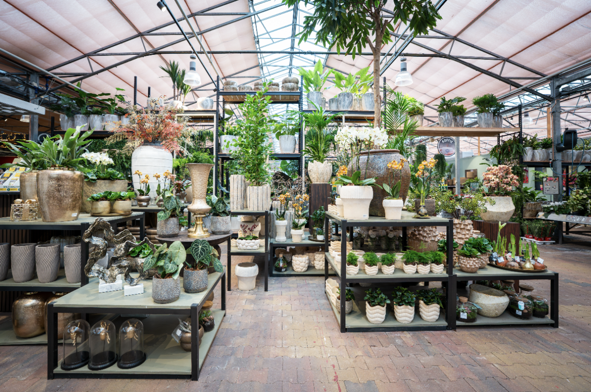 TuinWereld Dordrecht | Groene kamerplanten TuinWereld Dordrecht | Groene kamerplanten