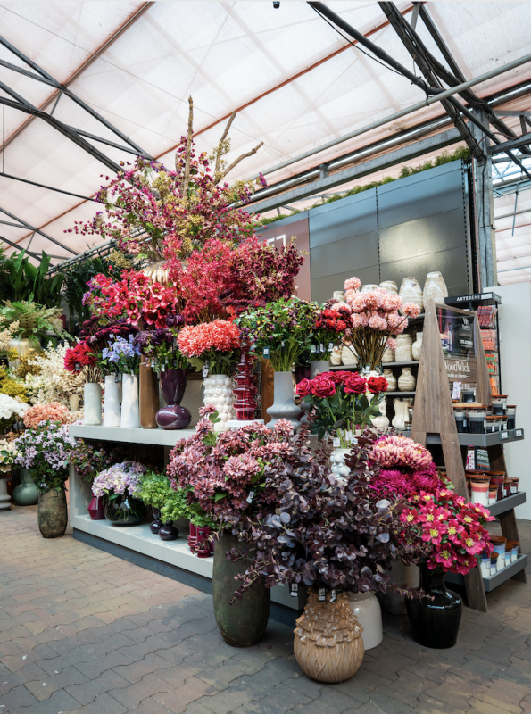 Zijden Bloemen | TuinWereld Dordrecht