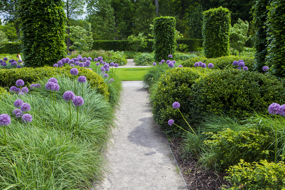 Tuinontwerp service TuinWereld Dordrecht