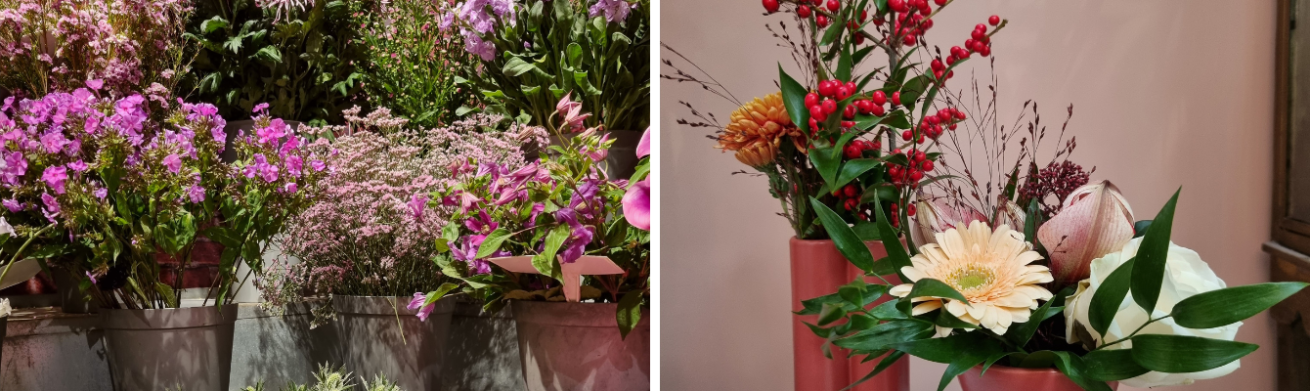 Bloemen | TuinWereld Dordrecht