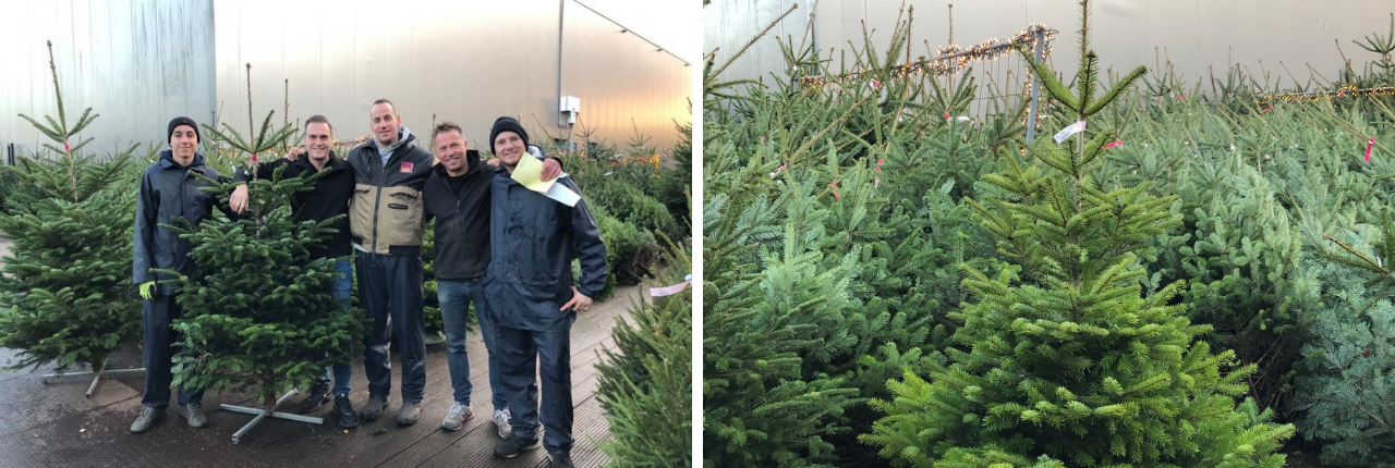 Kerstbomen kopen TuinWereld Dordrecht