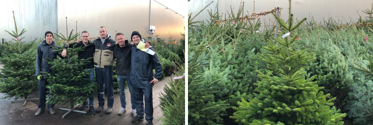 Kerstbomen kopen in de buurt TuinWereld Dordrecht