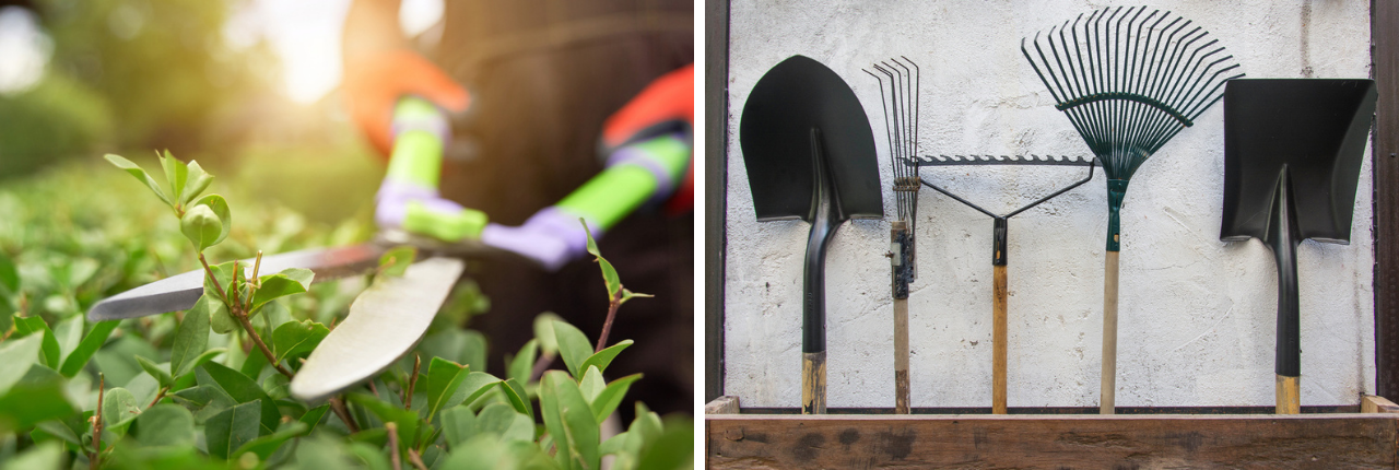 Tuingereedschap TuinWereld Dordrecht