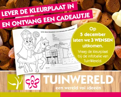 Sint actie