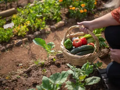 Dé moestuinkalender van de maand mei