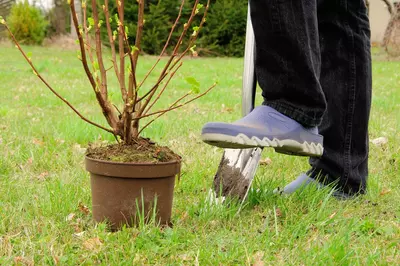 Het najaar is 'de tweede lente' in de tuin!