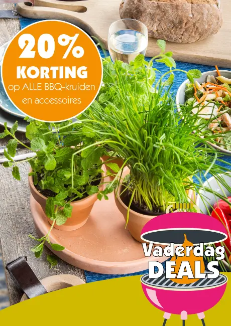 BBQ-kruiden en accessoires