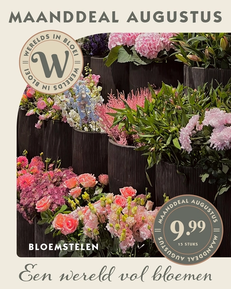 Bloemen deal Augustus