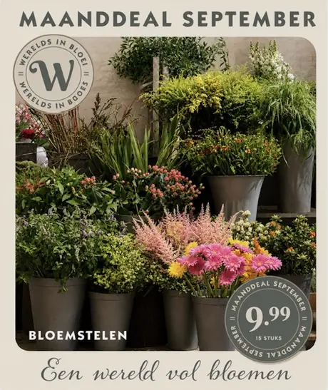 Bloemendeal September
