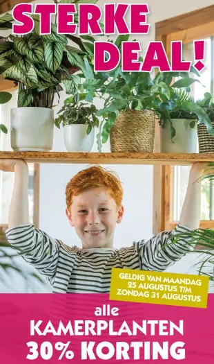 Kamerplanten actie