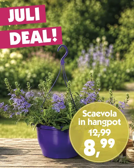Maand deal Juli