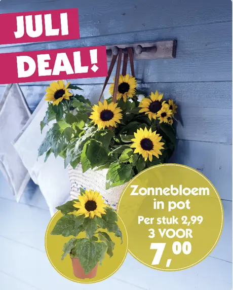 Maand deal Juli
