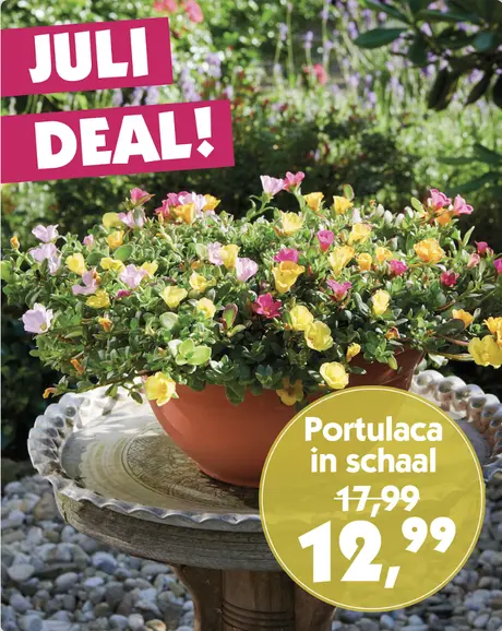 Maand deal juli