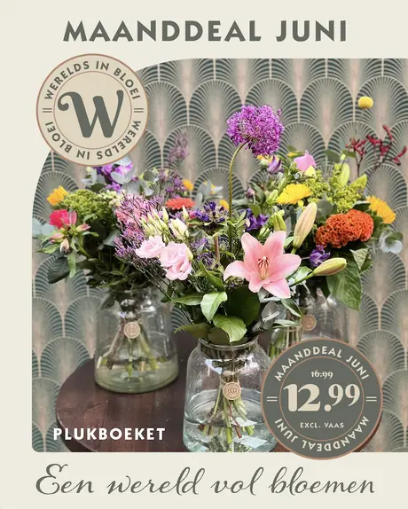 Maand deal Juni