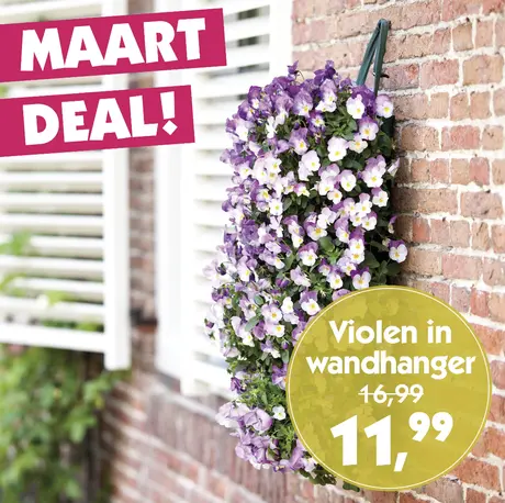 Maart deal
