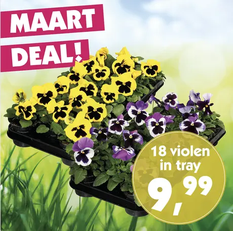 Maart deal