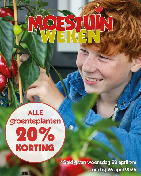 Moestuin weken