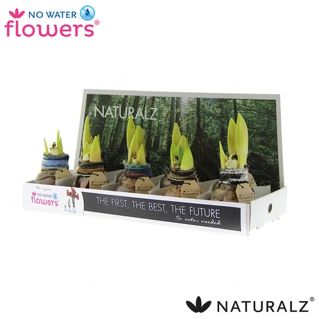 No Water Flowers Naturalz Deco Mix