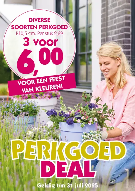 Perkgoed diverse soorten potmaat 10,5
