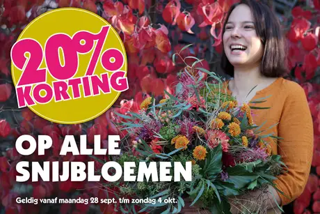 Weekdeal