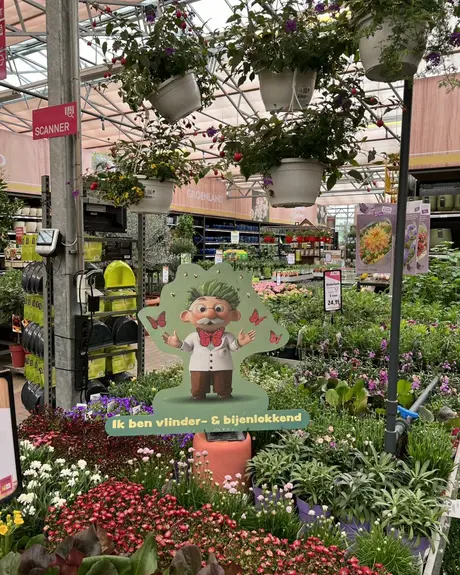 Winterharde vlinderlokkende planten in vierkante potten