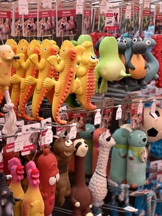 Dierenwinkel