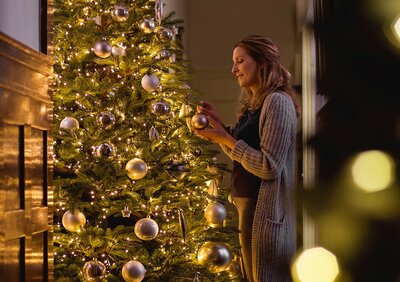 Kerstverlichting | TuinWereld Dordrecht