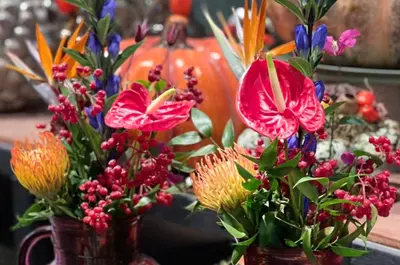 Bloemen | TuinWereld Dordrecht