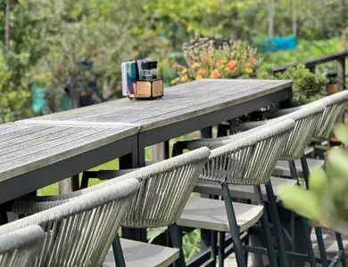 Tuin & Terras | TuinWereld Dordrecht
