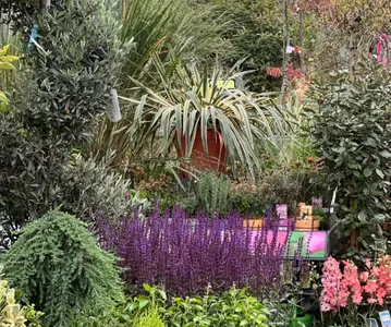 Tuinplanten | TuinWereld Dordrecht