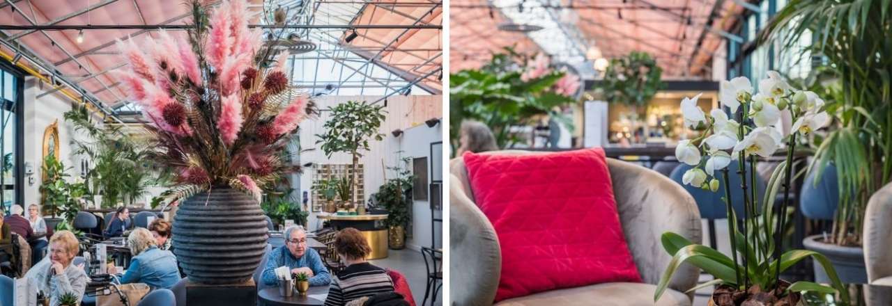 Horeca bij Tuinwereld Dordrecht